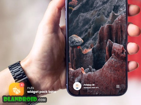 nuts widget pack ( beta ) Apk Full