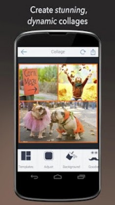 BeFunky Photo Editor Pro Apk BeFunky Photo Editor Pro Apk