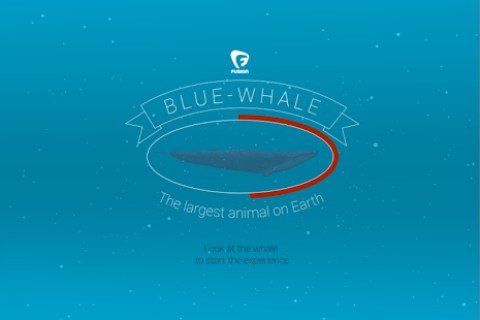 Blue whale VR Apk Full