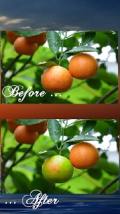Easy Photoshop Premium Apk Easy Photoshop Premium Apk