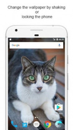 Shake Or Lock To Change Wallpaper Apk Full
