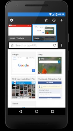 Ursa Browser - Fast, Light & Block ads Apk