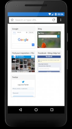 Ursa Browser - Fast, Light & Block ads Apk