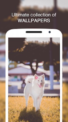 Wallpin HD Wallpapers & Backgrounds, Themes Pro Apk Full