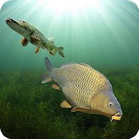 3DCARP Apk Mod