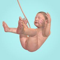 Idle 9 Months Apk Mod