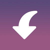 Insget - Instagram Downloader Apk Mod