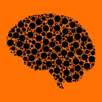 LoveNeuro: Student-Led Neuroscience App Apk