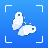 Picture Insect & Spider ID Apk