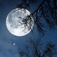 Relax Night - Nature sounds: sleep & meditation Apk