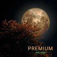 Relaxing Sounds For Sleeping | Meditation Music Apk Full
