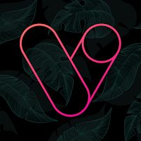 Vera Outline Icon Pack Apk