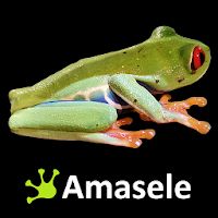 Amasele Guard Apk Mod