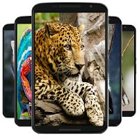 animal wallpaper Apk Mod