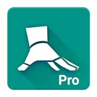 Bodyweight Fitness Pro Apk Mod