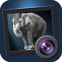 Dramatic Black & White Apk Mod