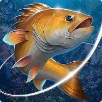 Fishing Hook Apk Mod