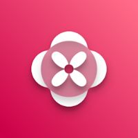 Galica Adaptive Icon Pack Apk Mod