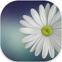 Gallery Lite Apk Mod