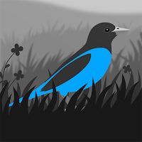 Grayland Apk Mod