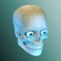 Idle Human Apk Mod