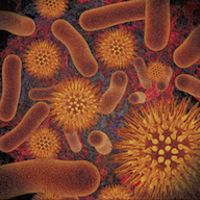 Infectious Disease Compendium Apk Mod