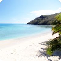 Lost in Paradise Apk Mod