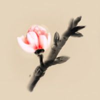 Mirages of Winter Apk Mod