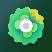 Moxy Icons Apk Mod