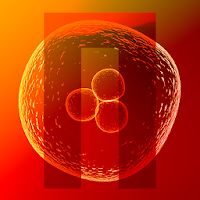 Nuclien Apk Mod