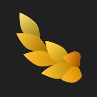NYMF: Sensual Art Photos by David Dubnitskiy Apk Mod