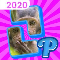 Pieces Apk Mod