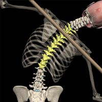 Posture by Muscle & Motion Apk Mod