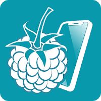 RaspController Apk Mod