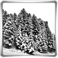Snowfall 360 Live Wallpaper Apk Mod