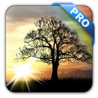 Sun Rise Pro Live Wallpaper Apk Mod