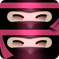 The Last Ninja Twins Apk Mod