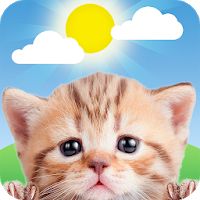 Weather Kitty - App & Widget Weather Forecast Apk Mod