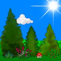 Pocket Camping Apk Full