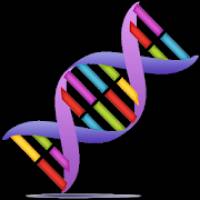 Genetic Helper 1.4.4 Apk Full Paid latest