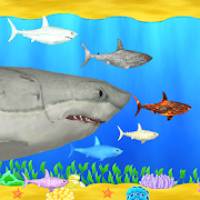Mega Sharks Pro : Shark Games 1.2 Apk Full Paid latest