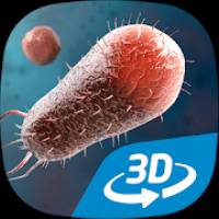 Bacteria interactive educational VR 3D 1.20 Apk latest