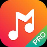Legend Music Player Pro Apk Full