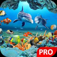 Fish Live Wallpaper 3D Aquarium