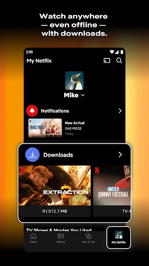 Netflix Premium Apk