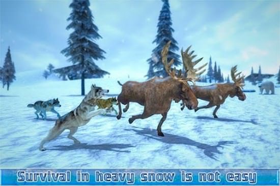 Arctic Wolf Sim 3D Apk
