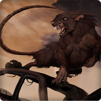 Nyheim 1.1 Apk icon