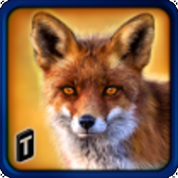 Wild Fox Adventures 2016